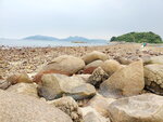 12052020_Sai Kung Ferry to Sharp Island00043
