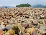 12052020_Sai Kung Ferry to Sharp Island00046