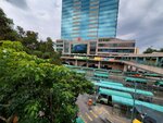 06102020_Sheung Shui Snapshots00008