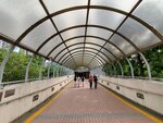 06102020_Sheung Shui Snapshots00024