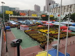 20012020_Tsuen Wan Lunar New Year Flower Fair00010
