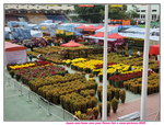 20012020_Tsuen Wan Lunar New Year Flower Fair00011
