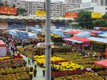 20012020_Tsuen Wan Lunar New Year Flower Fair00014