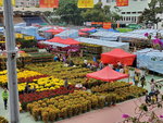 20012020_Tsuen Wan Lunar New Year Flower Fair00016