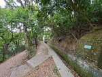 05052020_Wanchai Gap to Tai Tam Reservoir00014