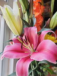 12022021_Lunar New Year_Flower at Home00029