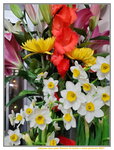 12022021_Lunar New Year_Flower at Home00030