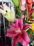 12022021_Lunar New Year_Flower at Home00033