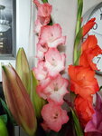 12022021_Lunar New Year_Flower at Home00035