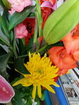 12022021_Lunar New Year_Flower at Home00036