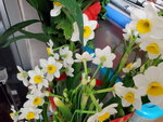 12022021_Lunar New Year_Flower at Home00037