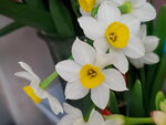 12022021_Lunar New Year_Flower at Home00039
