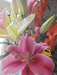 12022021_Lunar New Year_Flower at Home00040