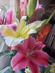 12022021_Lunar New Year_Flower at Home00041