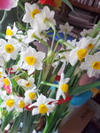 12022021_Lunar New Year_Flower at Home00042
