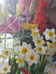 12022021_Lunar New Year_Flower at Home00043