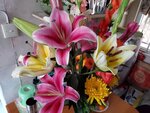 12022021_Lunar New Year_Flower at Home00050