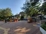 01052021_Hunghom to Tokwawan_Hoi Sum Park00084