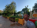 01052021_Hunghom to Tokwawan_Hoi Sum Park00085