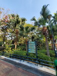 01052021_Hunghom to Tokwawan_Hoi Sum Park00087