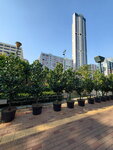 01052021_Hunghom to Tokwawan_Hoi Sum Park00088