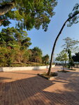 01052021_Hunghom to Tokwawan_Hoi Sum Park00089