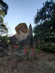 01052021_Hunghom to Tokwawan_Hoi Sum Park_Fish Tail Rock00091