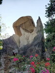 01052021_Hunghom to Tokwawan_Hoi Sum Park_Fish Tail Rock00092