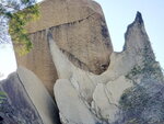 01052021_Hunghom to Tokwawan_Hoi Sum Park_Fish Tail Rock00095