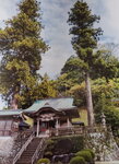 16022021_Japan Jinsha00026