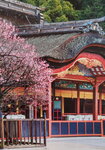 16022021_Japan Jinsha00029