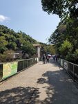 22022021_Wanchai Gap Road Park to Tai Tam Reservoir00128