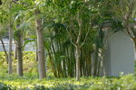 13032021_Tseung Kwan O Velodrome Park00020