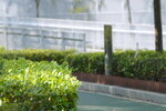 13032021_Tseung Kwan O Velodrome Park00021