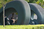 13032021_Tseung Kwan O Velodrome Park00022