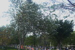 13032021_Tseung Kwan O Velodrome Park00031