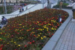 13032021_Tseung Kwan O Velodrome Park00035