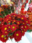 20022022_Lunar New Year Flowers_Chrysanthemum00006