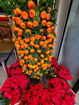 20022022_Lunar New Year Flowers_Mandarin Orange00004