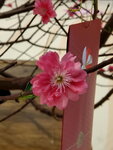 20022022_Lunar New Year Flowers_Peach Blossoms00002