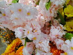 31012022_Lunar New Year Flowers at  Flower Market Street00023