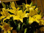 31012022_Lunar New Year Flowers at  Flower Market Street00034