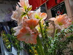 31012022_Lunar New Year Flowers at  Flower Market Street00054