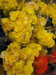 31012022_Lunar New Year Flowers at  Flower Market Street00061