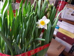 30012022_Lunar New Year_Home Flowers00029
