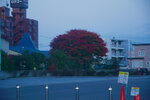 04112022_Nikon D800_23rd Round to Hokkaido_Early Morning in Hakodate00020