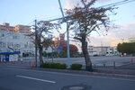 04112022_Nikon D800_23rd Round to Hokkaido_Early Morning in Hakodate00053