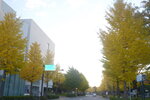 04112022_Nikon D800_23rd Round to Hokkaido_Early Morning in Hakodate00056