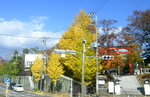 04112022_Nikon D800_23rd Round to Hokkaido_Hakodate_Way to Goryokaku Koen00007