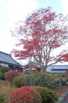 05112022_Nikon D800_23rd Round to Hokkaido_Noboribetsu Date Jidal Village00002